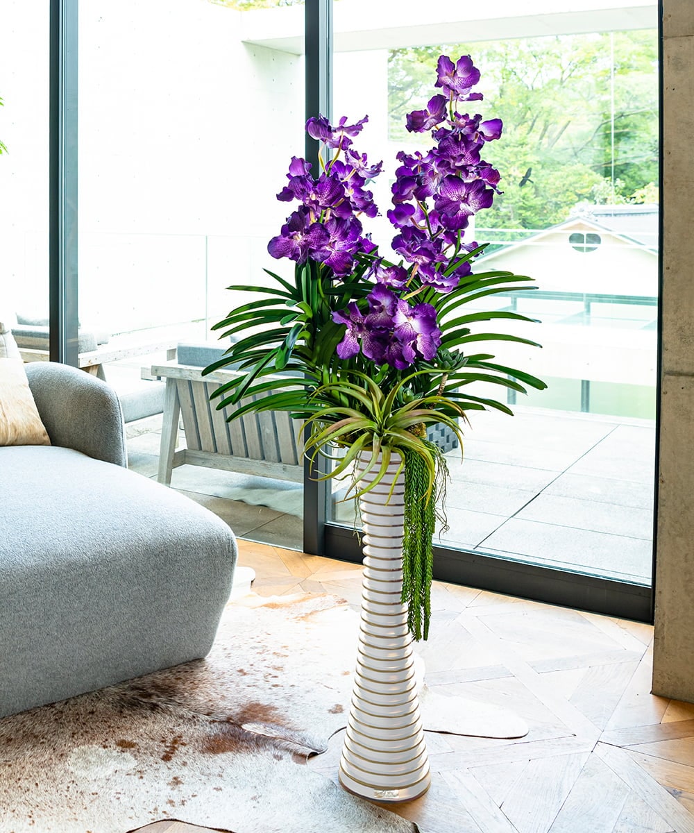 TTUUS13120 EMILIO ROBBA(エミリオ ロバ) バンダボタニックpu-5XL その他