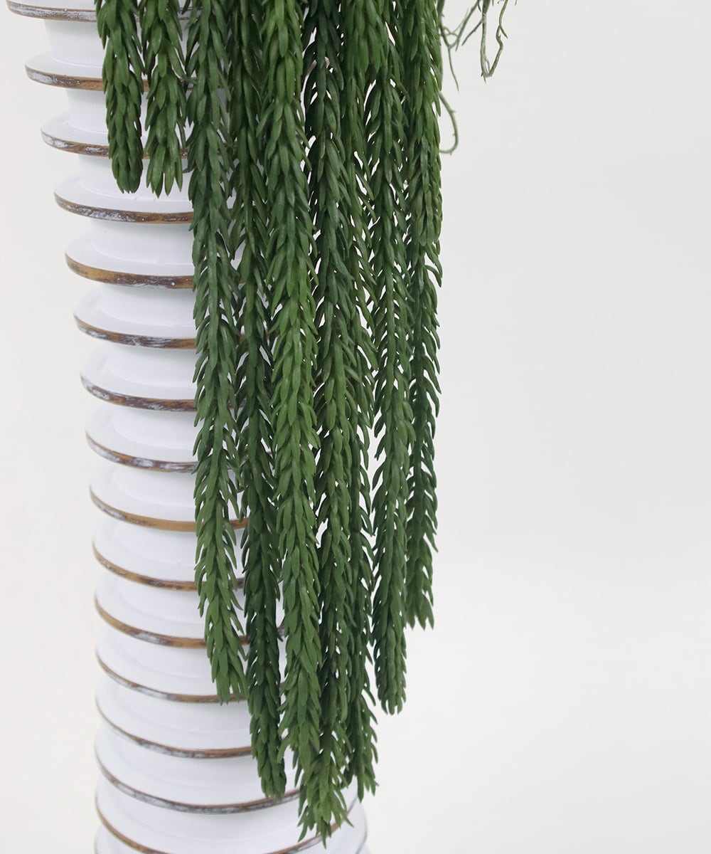 TTUUS13120 EMILIO ROBBA(エミリオ ロバ) バンダボタニックpu-5XL その他