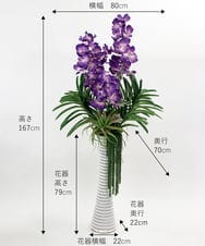 TTUUS13120 EMILIO ROBBA(エミリオ ロバ) バンダボタニックpu-5XL その他