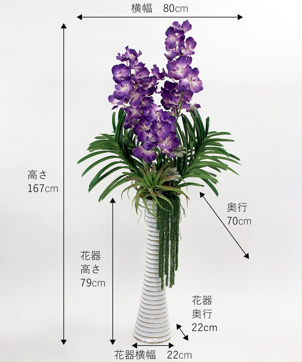 TTUUS13120 EMILIO ROBBA(エミリオ ロバ) バンダボタニックpu-5XL その他