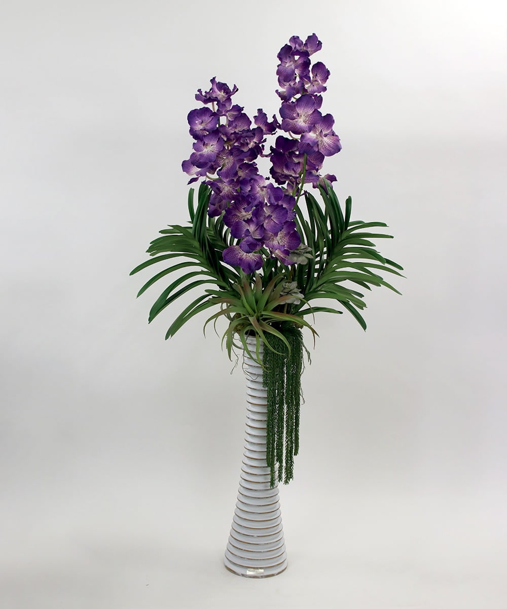 TTUUS13120 EMILIO ROBBA(エミリオ ロバ) バンダボタニックpu-5XL その他