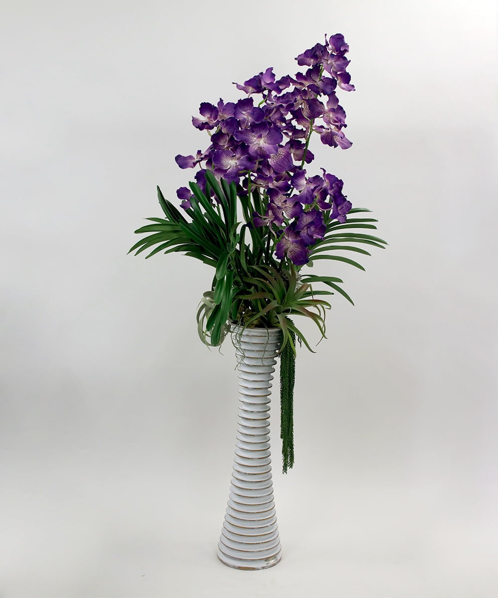 TTUUS13120 EMILIO ROBBA(エミリオ ロバ) バンダボタニックpu-5XL その他