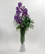 TTUUS13120 EMILIO ROBBA(エミリオ ロバ) バンダボタニックpu-5XL その他