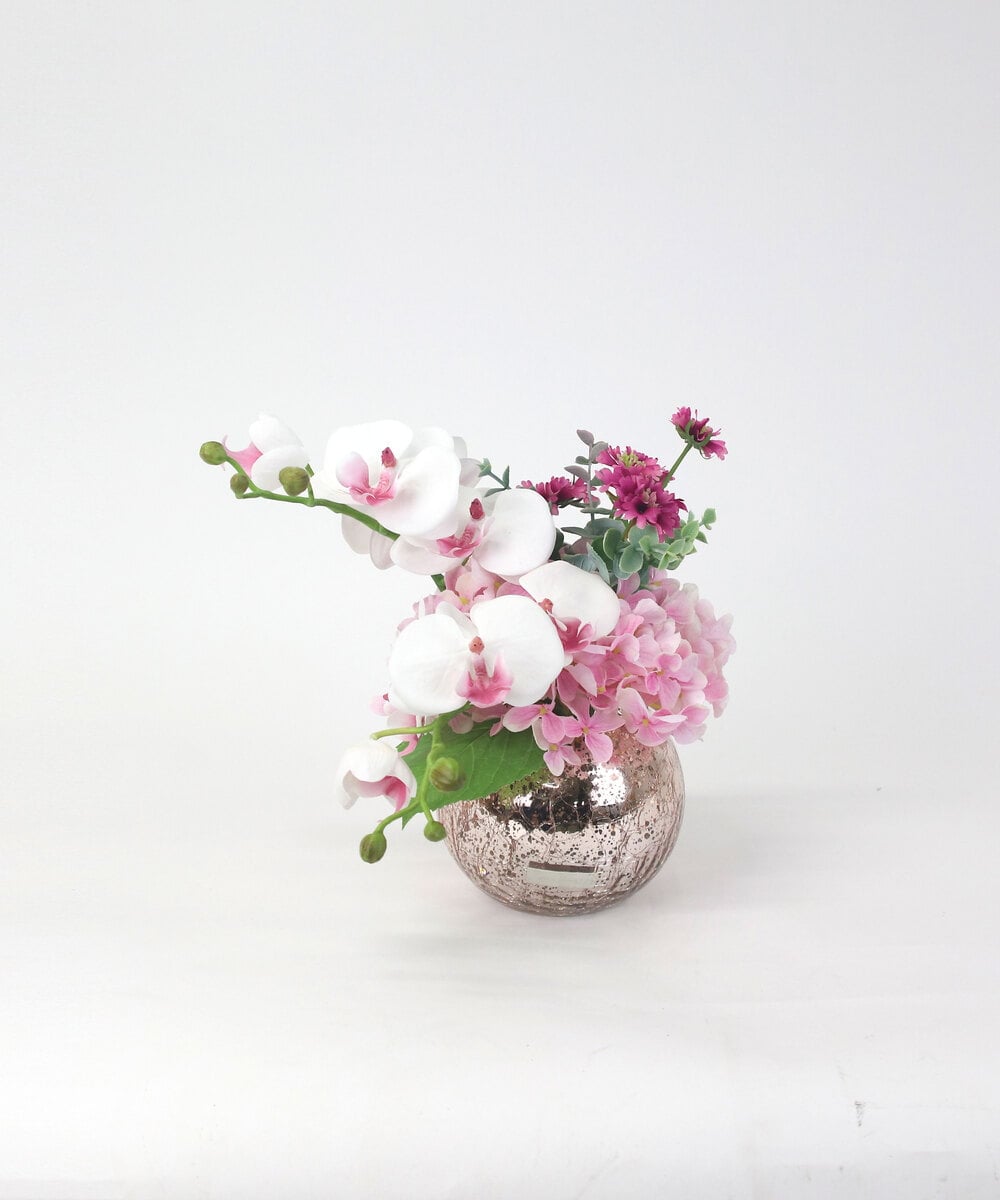 TUNED45200 EMILIO ROBBA(エミリオ ロバ) ファレノプシスリップピンクL26 その他0000