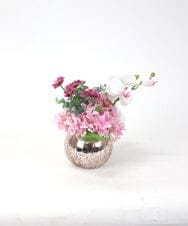 TUNED45200 EMILIO ROBBA(エミリオ ロバ) ファレノプシスリップピンクL26 その他0000