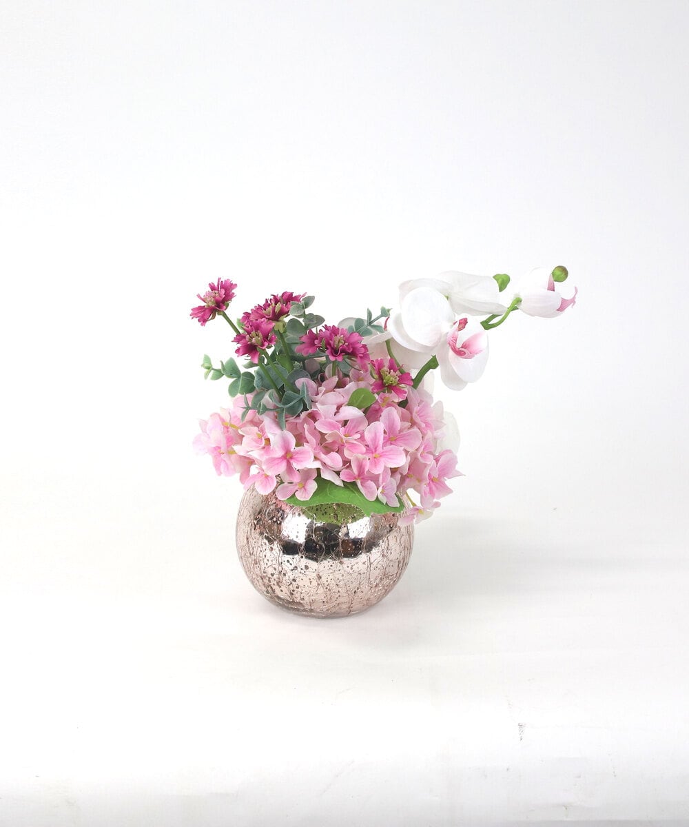 TUNED45200 EMILIO ROBBA(エミリオ ロバ) ファレノプシスリップピンクL26 その他0000