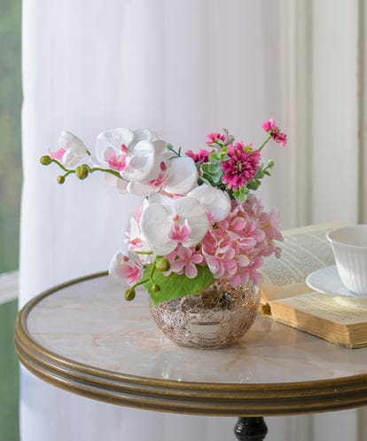 TUNED45200 EMILIO ROBBA ファレノプシスリップピンクL26