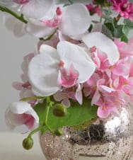 TUNED45200 EMILIO ROBBA(エミリオ ロバ) ファレノプシスリップピンクL26 その他0000