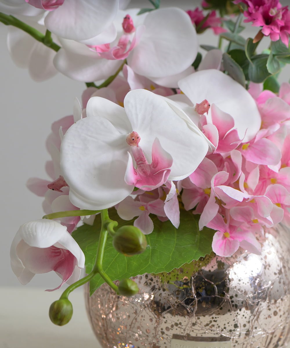 TUNED45200 EMILIO ROBBA(エミリオ ロバ) ファレノプシスリップピンクL26 その他0000