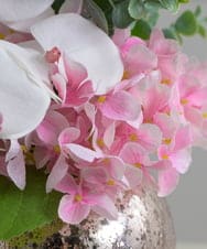 TUNED45200 EMILIO ROBBA(エミリオ ロバ) ファレノプシスリップピンクL26 その他0000