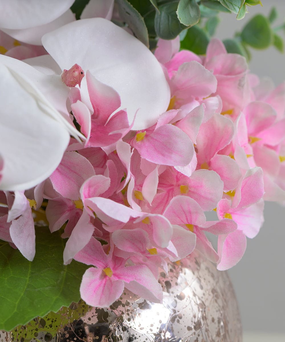 TUNED45200 EMILIO ROBBA(エミリオ ロバ) ファレノプシスリップピンクL26 その他0000