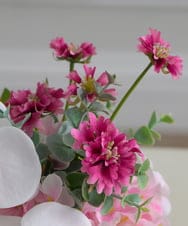 TUNED45200 EMILIO ROBBA(エミリオ ロバ) ファレノプシスリップピンクL26 その他0000