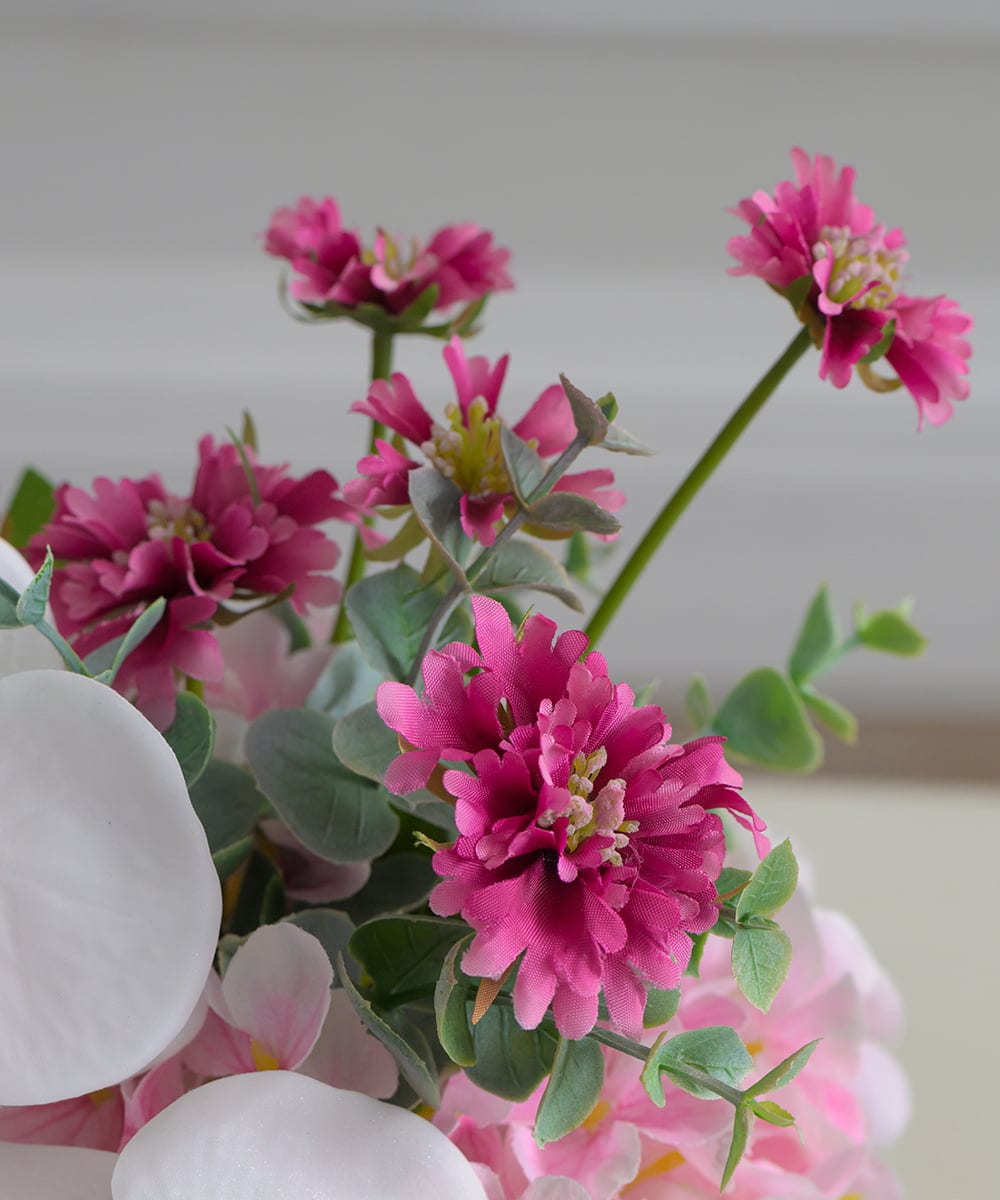 TUNED45200 EMILIO ROBBA(エミリオ ロバ) ファレノプシスリップピンクL26 その他0000