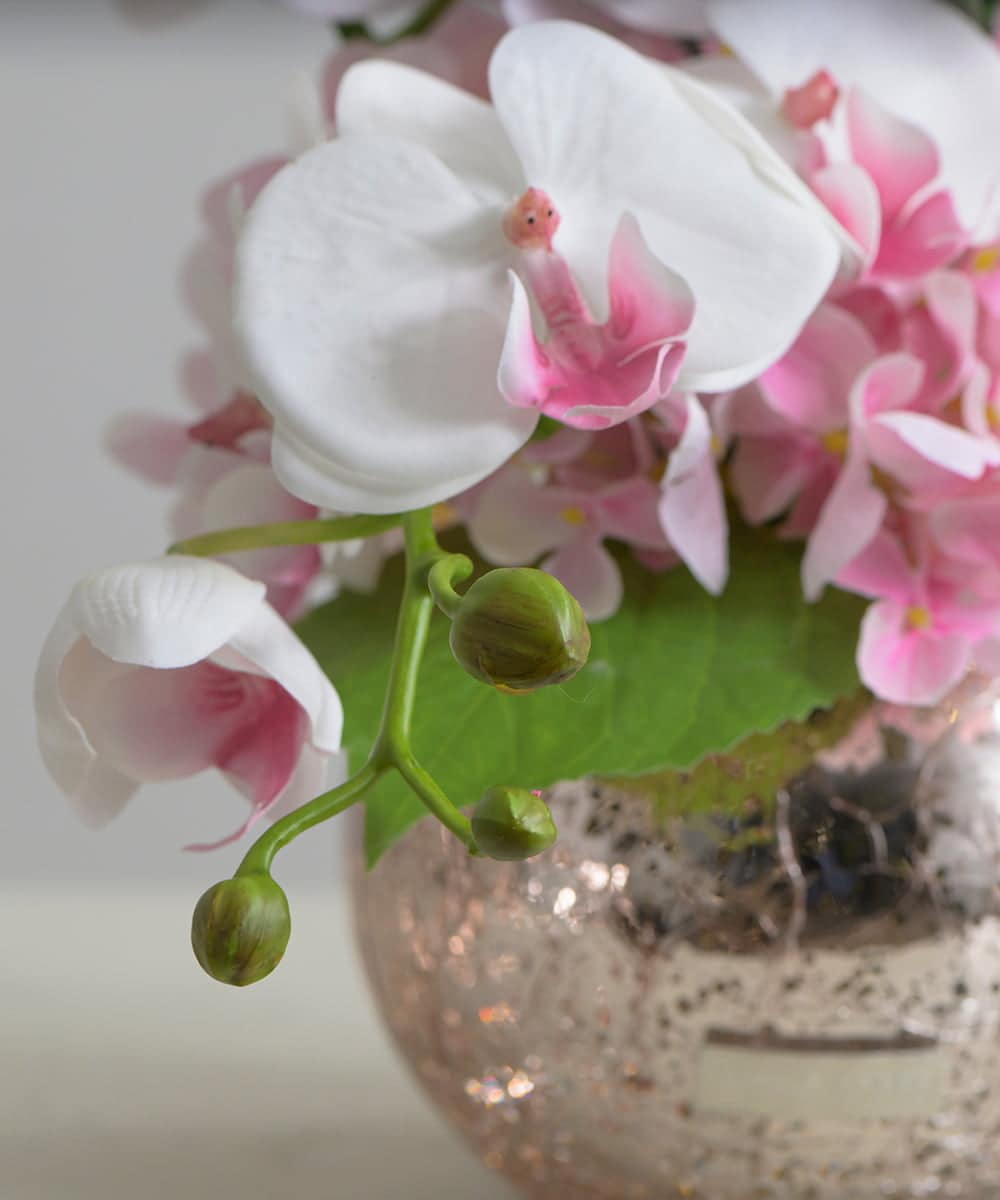 TUNED45200 EMILIO ROBBA(エミリオ ロバ) ファレノプシスリップピンクL26 その他0000