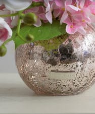 TUNED45200 EMILIO ROBBA(エミリオ ロバ) ファレノプシスリップピンクL26 その他0000