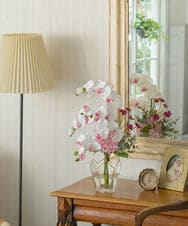 TUNED46350 EMILIO ROBBA(エミリオ ロバ) ファレノプシスリップピンク2L26 その他0000