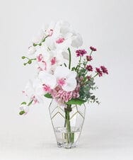 TUNED46350 EMILIO ROBBA(エミリオ ロバ) ファレノプシスリップピンク2L26 その他0000