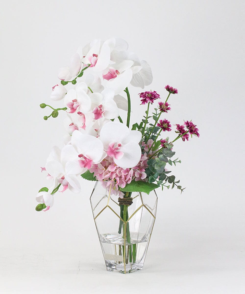 TUNED46350 EMILIO ROBBA(エミリオ ロバ) ファレノプシスリップピンク2L26 その他0000