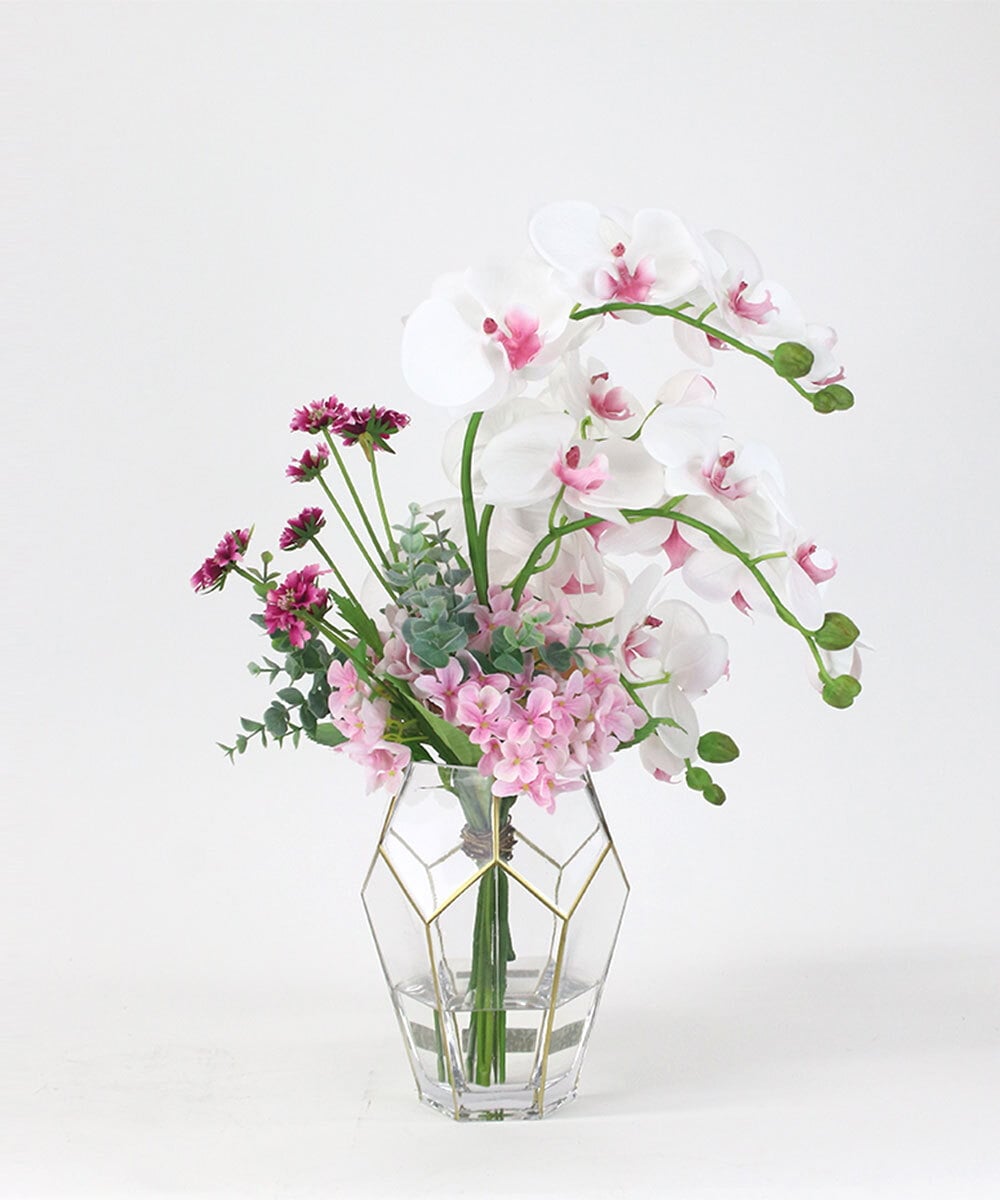 TUNED46350 EMILIO ROBBA(エミリオ ロバ) ファレノプシスリップピンク2L26 その他0000