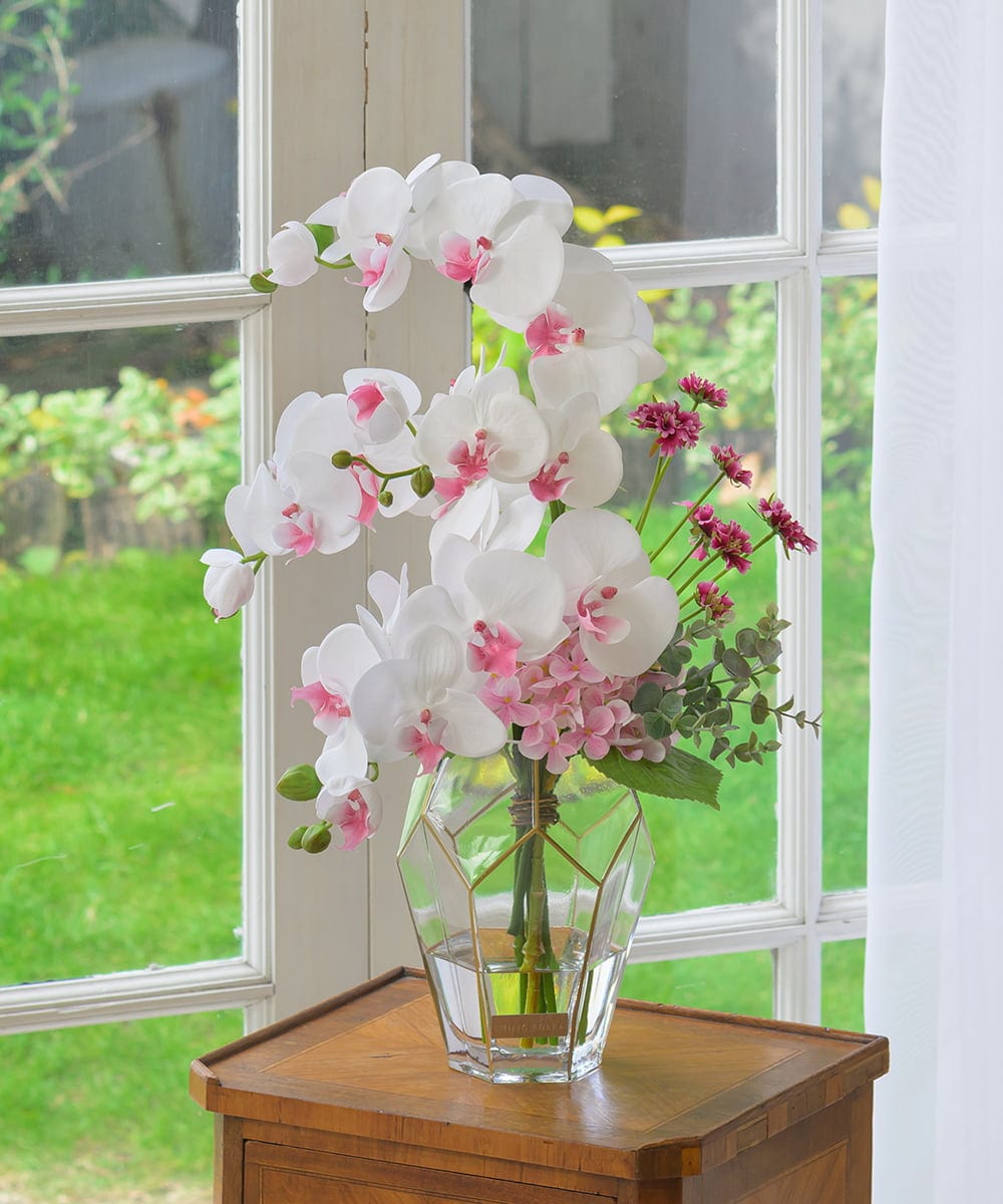 TUNED46350 EMILIO ROBBA(エミリオ ロバ) ファレノプシスリップピンク2L26 その他0000