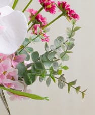 TUNED46350 EMILIO ROBBA(エミリオ ロバ) ファレノプシスリップピンク2L26 その他0000