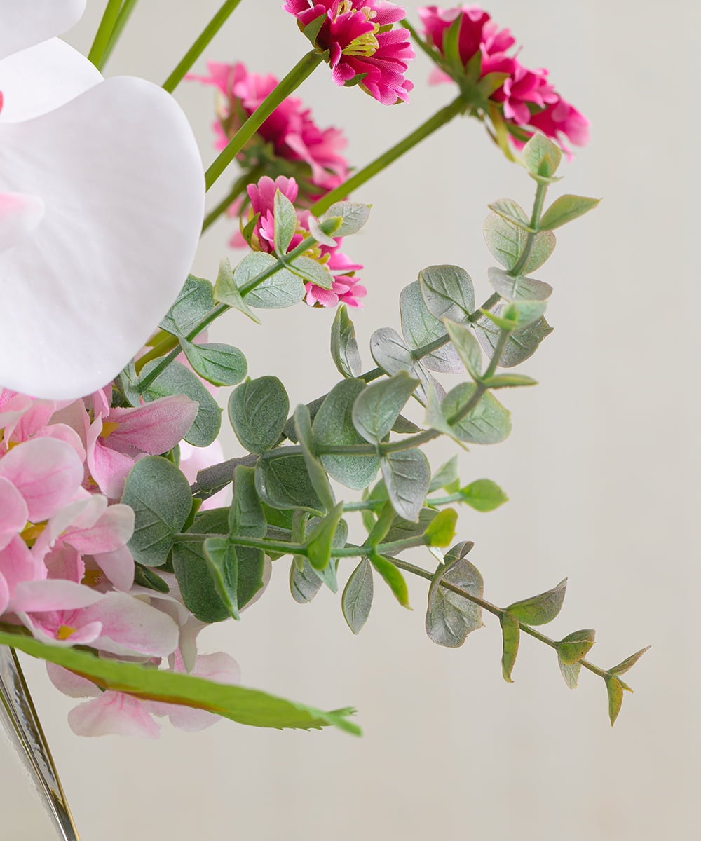 TUNED46350 EMILIO ROBBA(エミリオ ロバ) ファレノプシスリップピンク2L26 その他0000