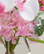 TUNED46350 EMILIO ROBBA(エミリオ ロバ) ファレノプシスリップピンク2L26 その他0000