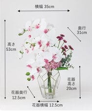 TUNED46350 EMILIO ROBBA(エミリオ ロバ) ファレノプシスリップピンク2L26 その他0000