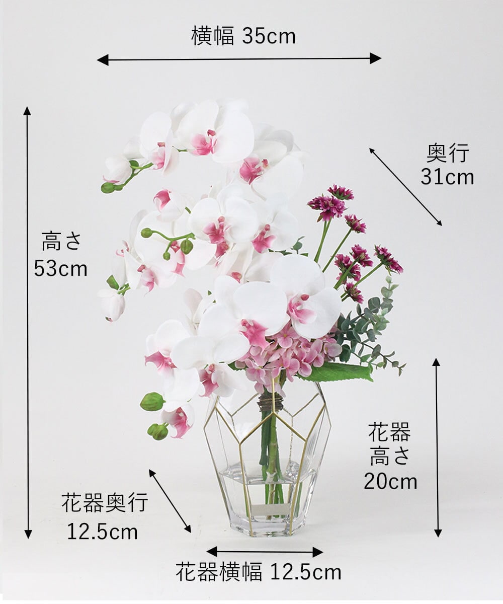 TUNED46350 EMILIO ROBBA(エミリオ ロバ) ファレノプシスリップピンク2L26 その他0000