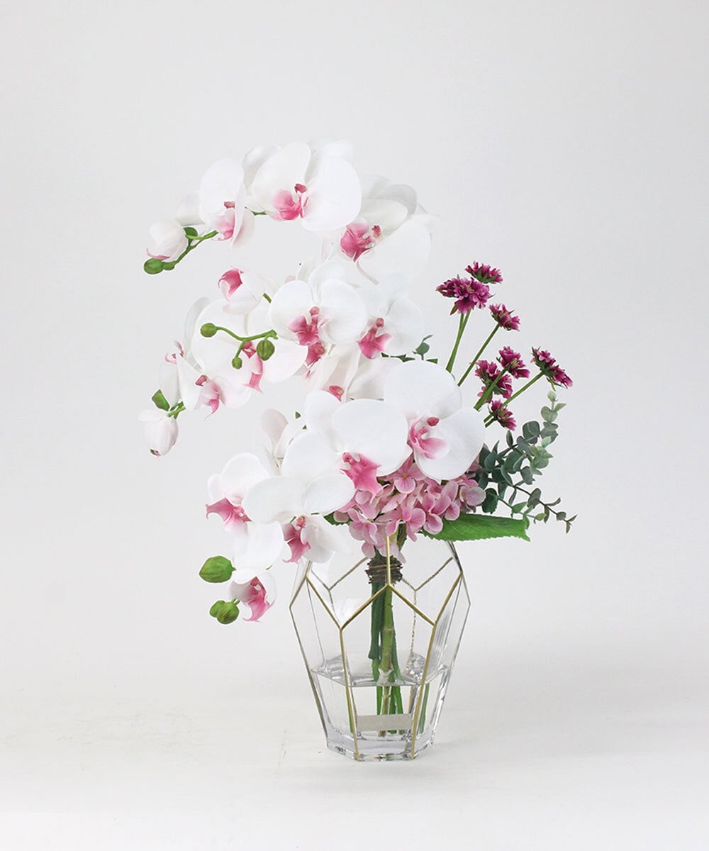 TUNED46350 EMILIO ROBBA(エミリオ ロバ) ファレノプシスリップピンク2L26 その他0000