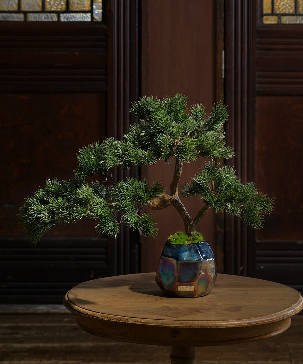 TUTGA80300 EMILIO ROBBA(エミリオ ロバ) BONSAI2L26-a その他0000