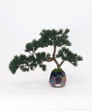 TUTGA80300 EMILIO ROBBA(エミリオ ロバ) BONSAI2L26-a その他0000