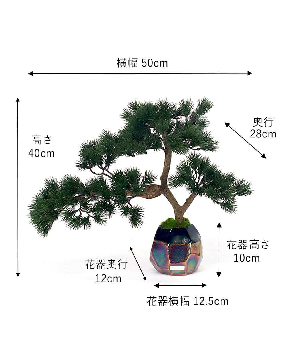 TUTGA80300 EMILIO ROBBA(エミリオ ロバ) BONSAI2L26-a その他0000