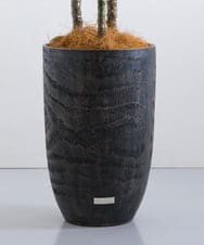 TUTTA15850 EMILIO ROBBA(エミリオ ロバ) ユッカラン4L その他