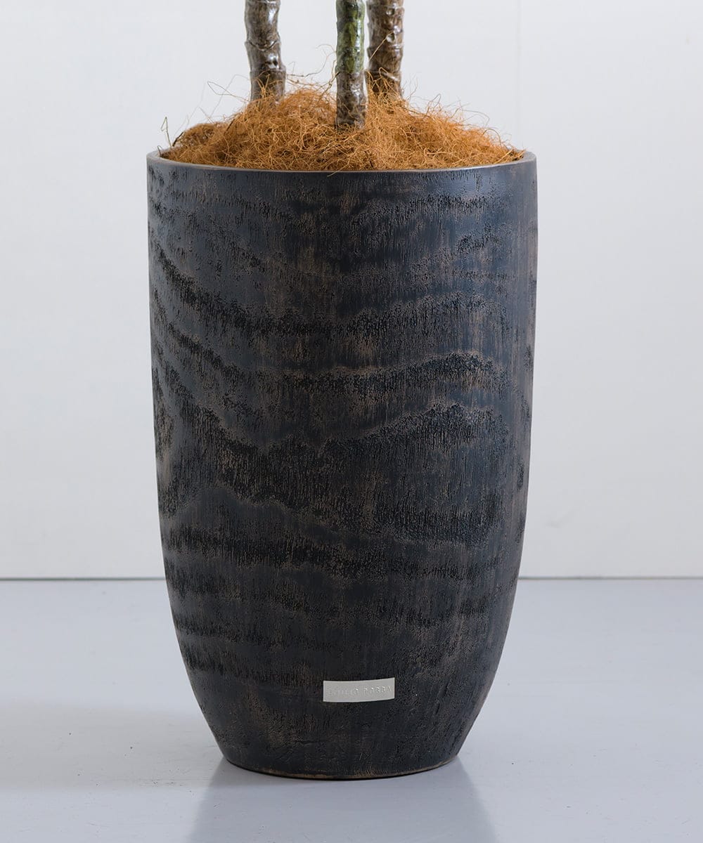 TUTTA15850 EMILIO ROBBA(エミリオ ロバ) ユッカラン4L その他