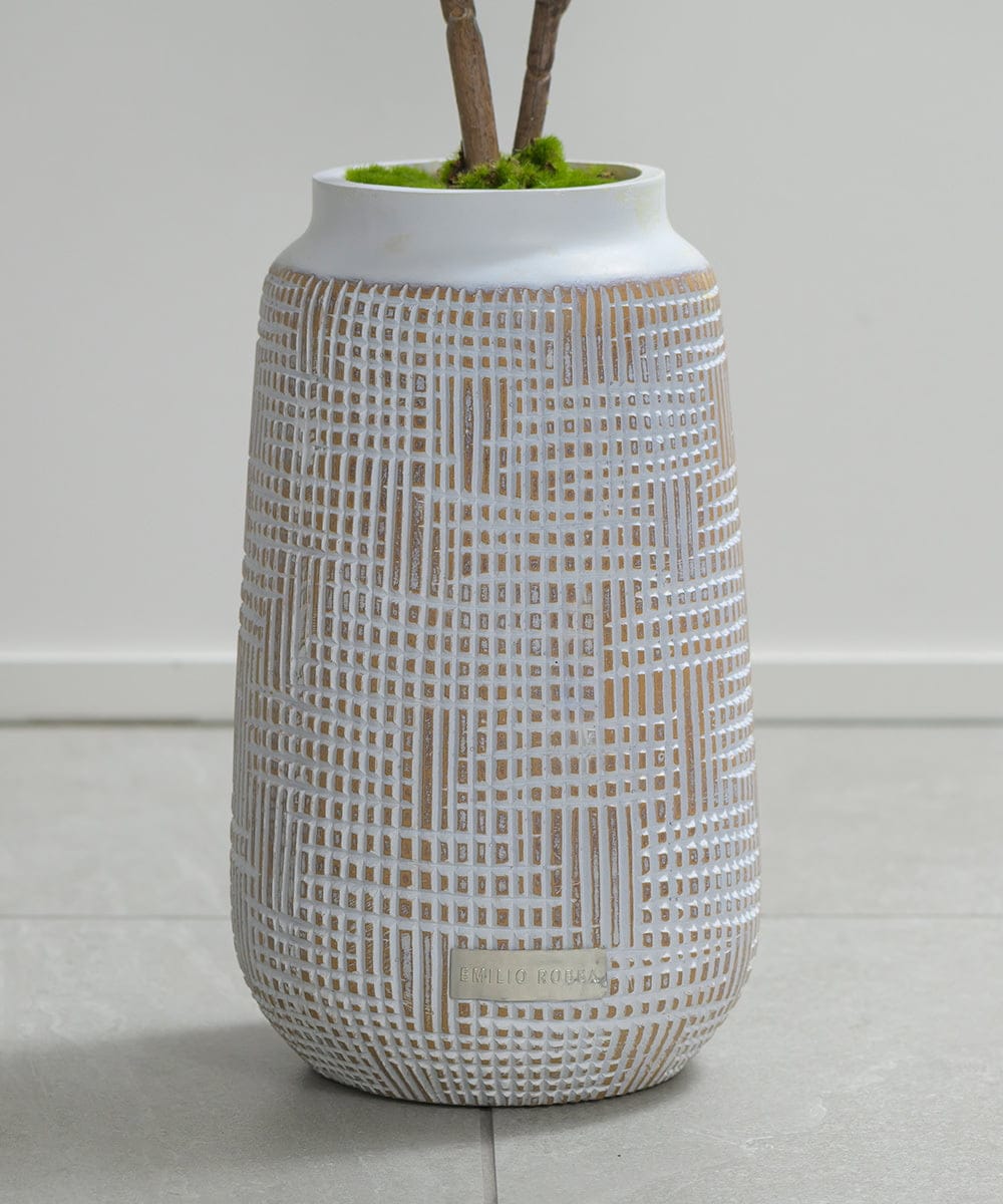 TUTTA30350 EMILIO ROBBA(エミリオ ロバ) ツピタンサス その他