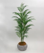 TUTTA38700 EMILIO ROBBA(エミリオ ロバ) パーム その他