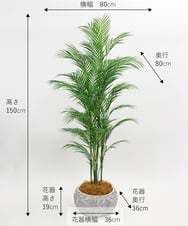 TUTTA38700 EMILIO ROBBA(エミリオ ロバ) パーム その他