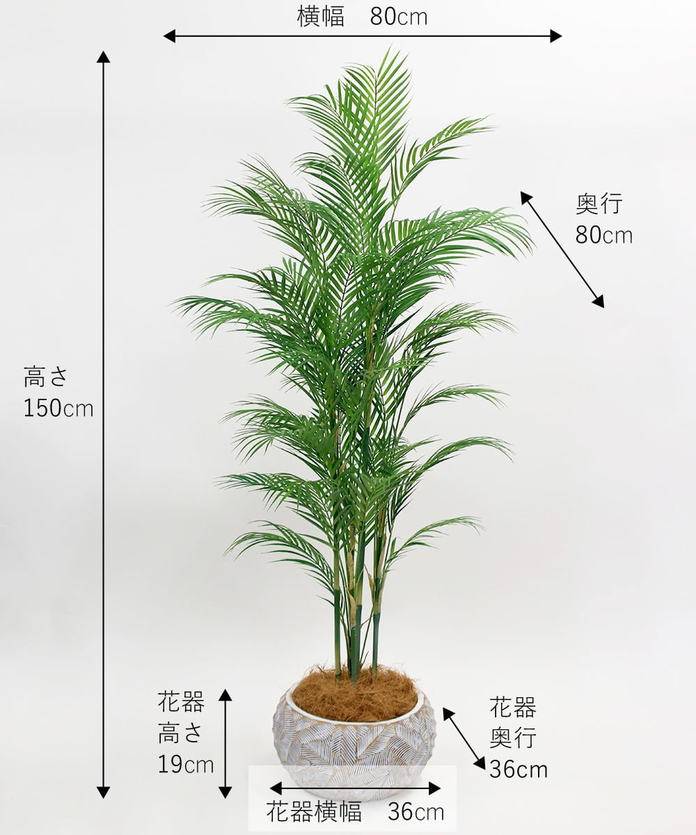TUTTA38700 EMILIO ROBBA(エミリオ ロバ) パーム その他