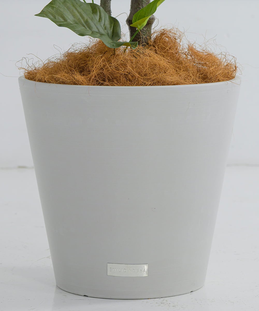 TUTTA85750 EMILIO ROBBA(エミリオ ロバ) ウンベラータ その他