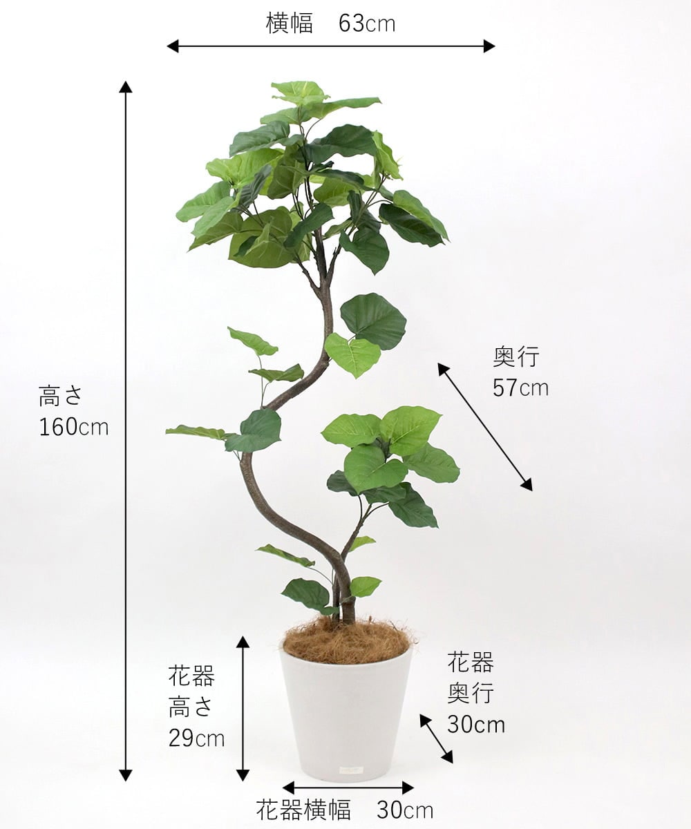 TUTTA85750 EMILIO ROBBA(エミリオ ロバ) ウンベラータ その他