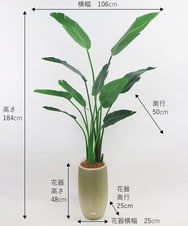 TUTTS29750 EMILIO ROBBA(エミリオ ロバ) オーガスタ その他