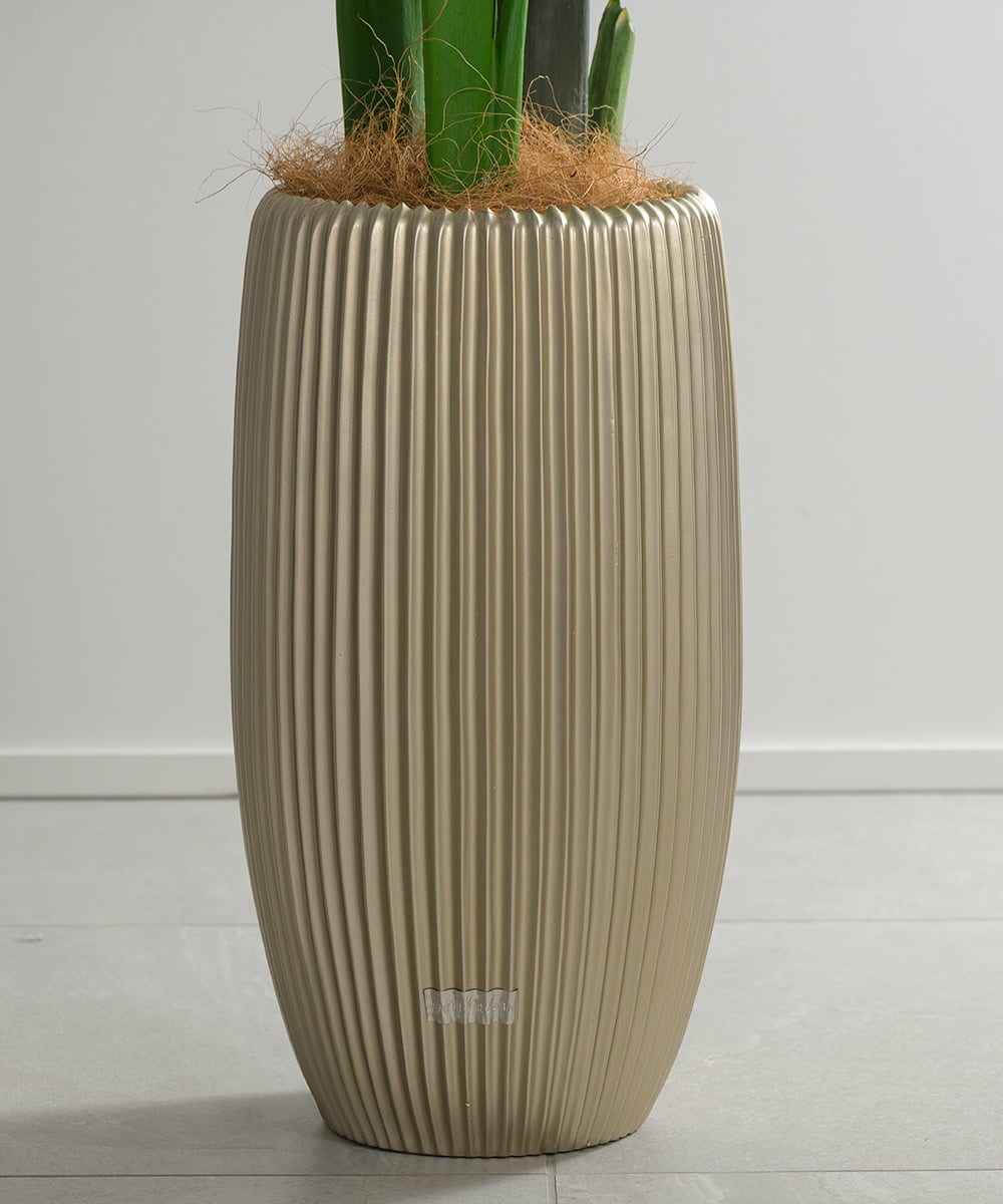 TUTTS29750 EMILIO ROBBA(エミリオ ロバ) オーガスタ その他