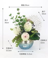 TUUAD66350 EMILIO ROBBA(エミリオ ロバ) バンクシア2L26 その他0000