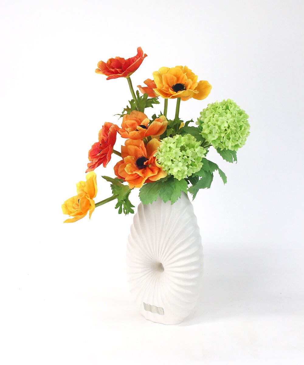 TUUED12300 EMILIO ROBBA(エミリオ ロバ) アネモネ2L26 その他0000