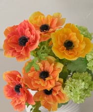 TUUED12300 EMILIO ROBBA(エミリオ ロバ) アネモネ2L26 その他0000