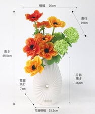 TUUED12300 EMILIO ROBBA(エミリオ ロバ) アネモネ2L26 その他0000