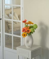 TUUED12300 EMILIO ROBBA(エミリオ ロバ) アネモネ2L26 その他0000