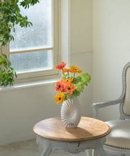 TUUED12300 EMILIO ROBBA(エミリオ ロバ) アネモネ2L26 その他0000