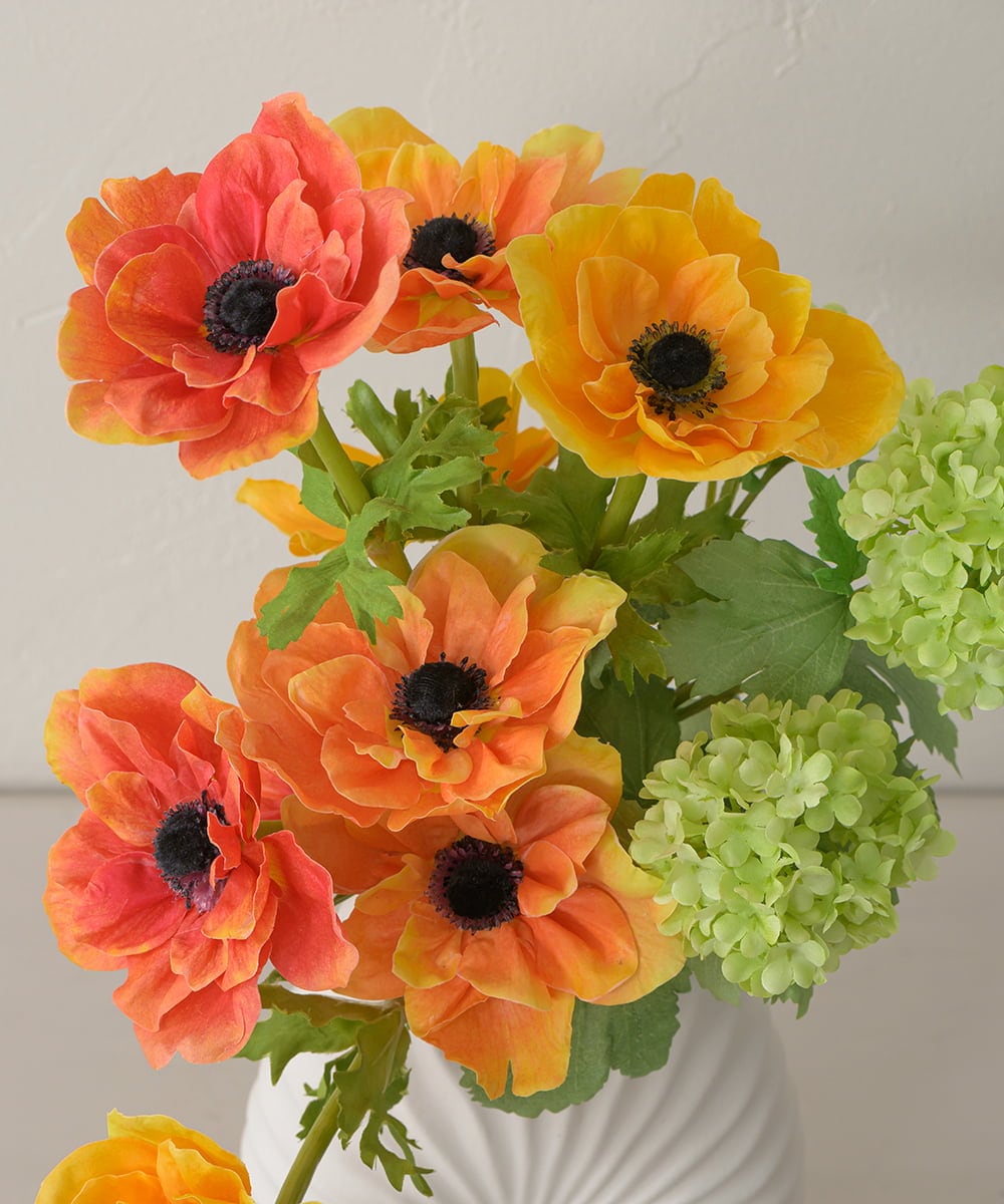 TUUED12300 EMILIO ROBBA(エミリオ ロバ) アネモネ2L26 その他0000